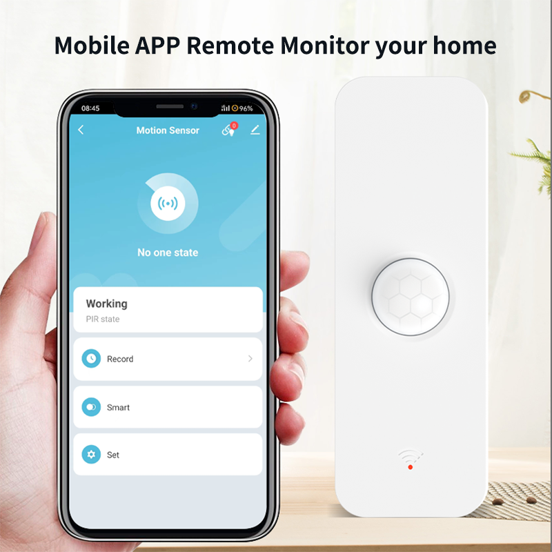 Tuya WiFi Zigbee PIR Motion Se - đánh giá và giá Motion Sensor Outdoor