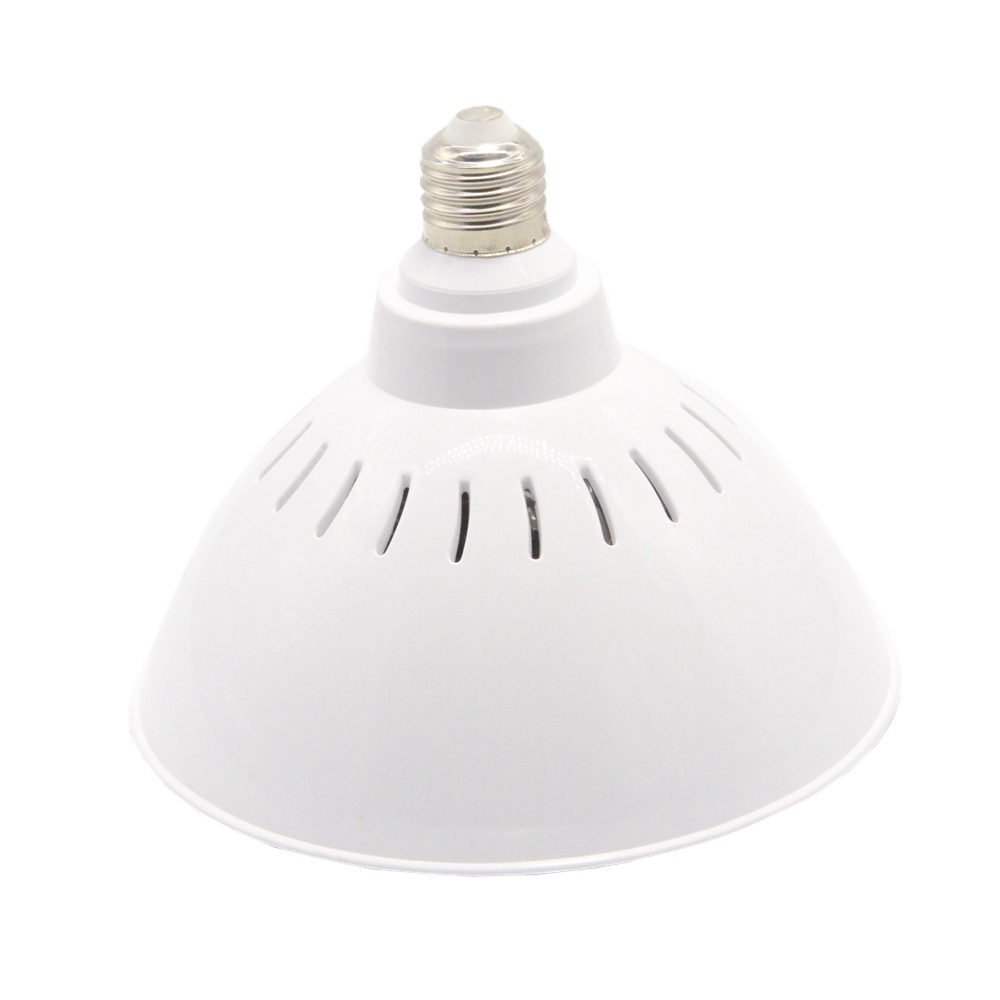 Multicolor Hayward LED Pool 40 - đánh giá và giá Pond Light Submersible